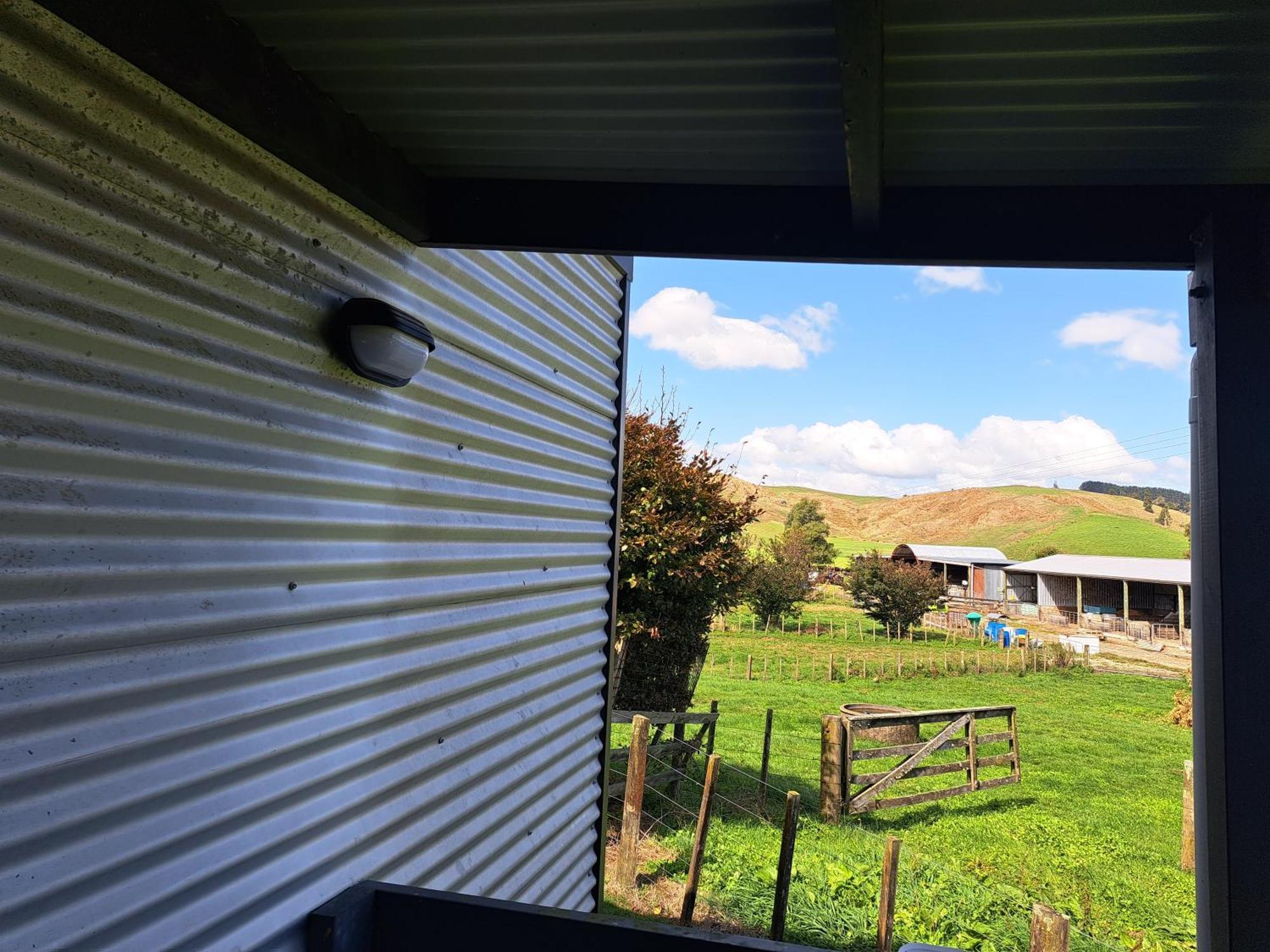 Crinkly Cottage Te Kuiti Esterno foto